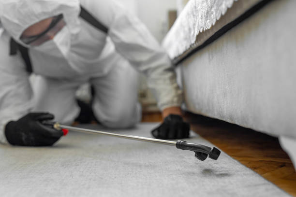 Professional Termite Control technician working in River Road, OR